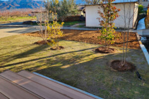 山梨県山梨市 外構工事（芝はり、植栽、デッキ）